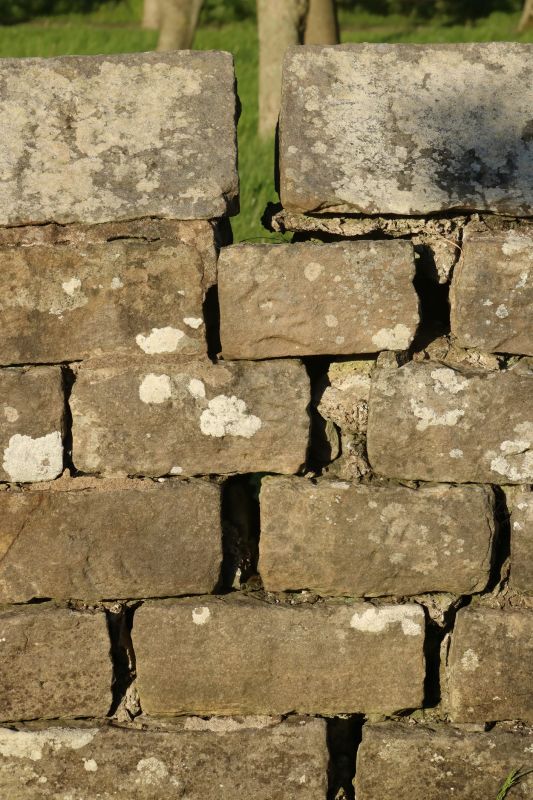Rock Wall Repair in Elizabethtown, KY